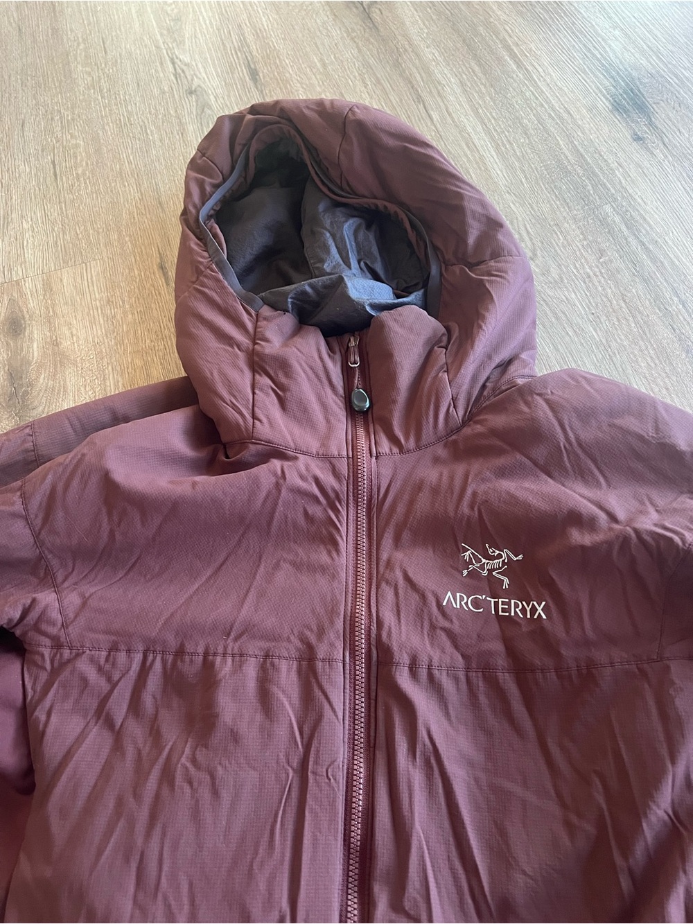 Arc'teryx Hooded Insulated Jacket